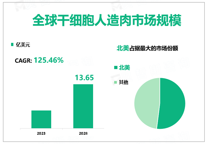 干细胞人造肉行业发展迅速，预计到2028市场规模13.65亿美元