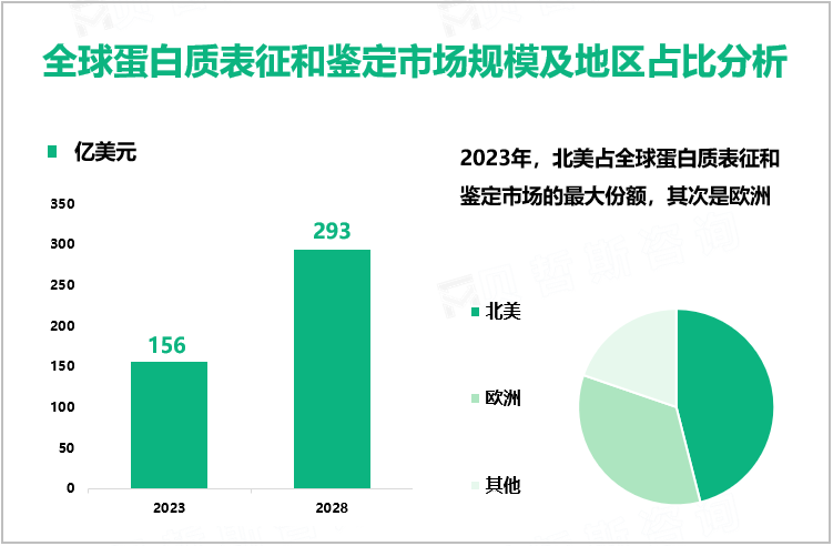蛋白质表征和鉴定行业现状：2023年全球市场规模为156亿美元，北美占比最大
